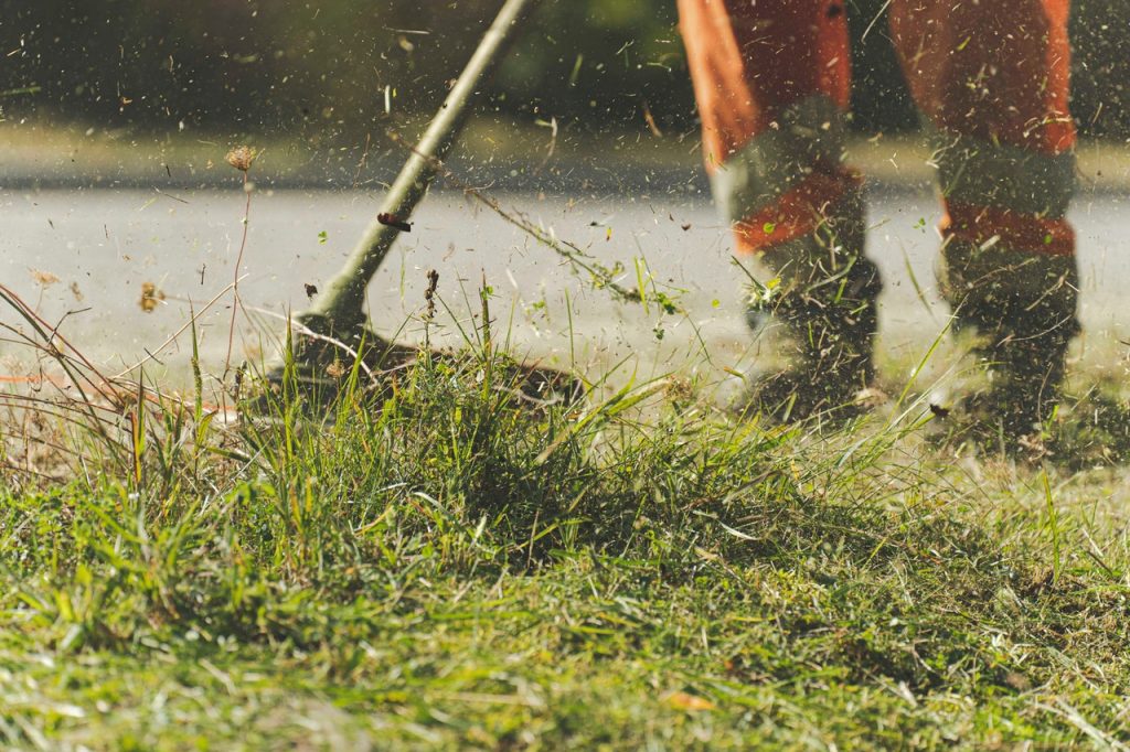 start your own lawn mowing business