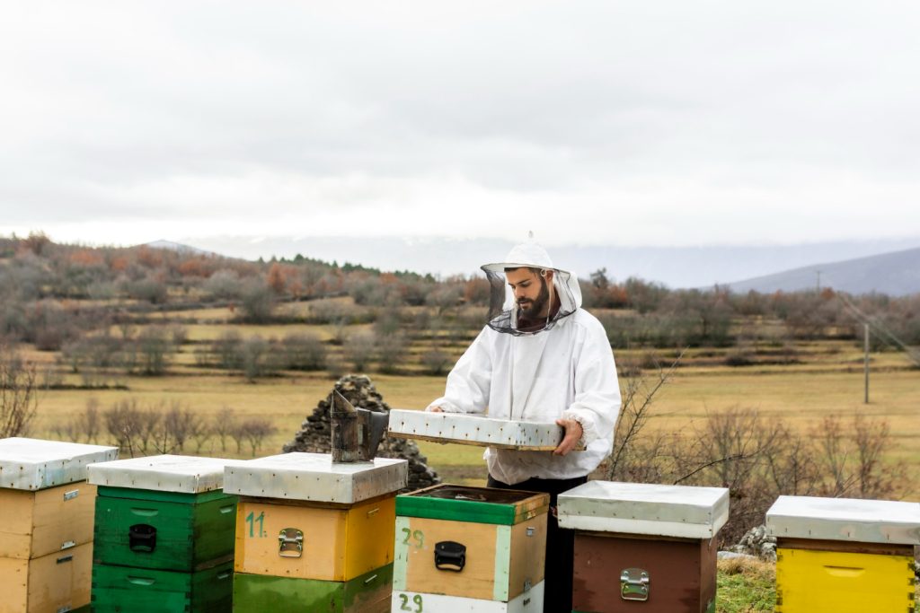 Can you make money with honey bees?